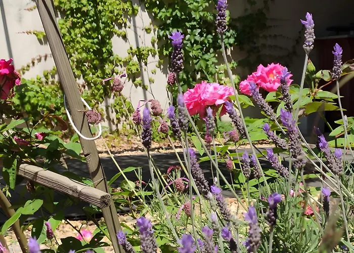 Apartamento - La Magnanerie Saint-Jean-du-Gard
